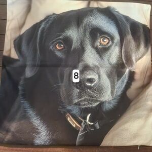 Black Lab Throw Pillow